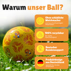 Kinderfußball Löwe